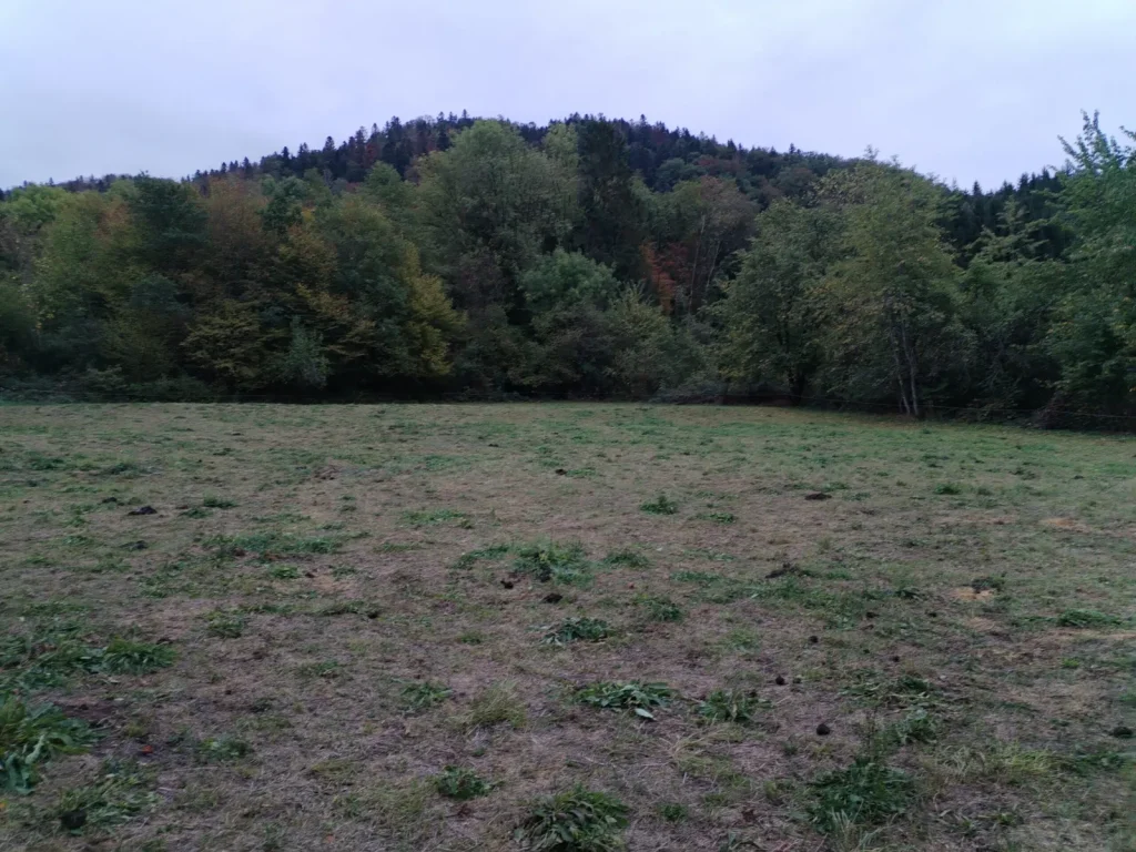 70270-TERNUAY-MELAY ET SAINT HILAIRE Parcelle de terrain constructible d’une contenance de 13a 29 ca
